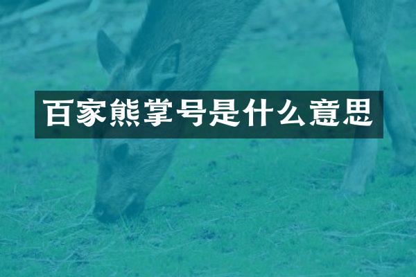百家熊掌号是什么意思