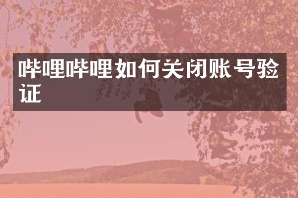 哔哩哔哩如何关闭账号验证