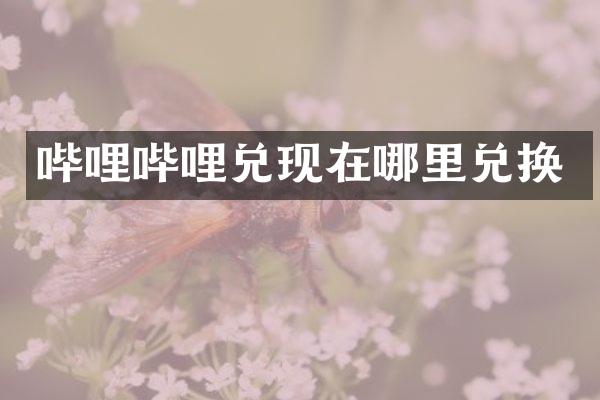 哔哩哔哩兑现在哪里兑换