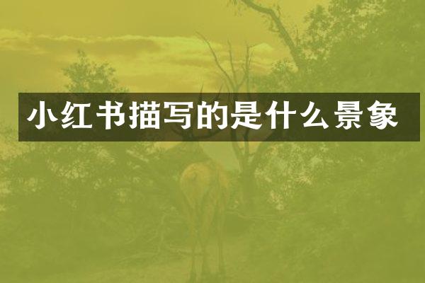 小红书描写的是什么景象