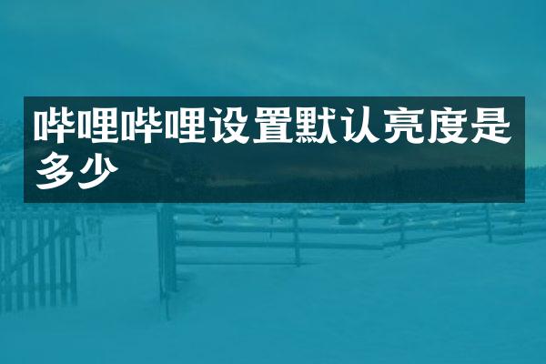 哔哩哔哩设置默认亮度是多少