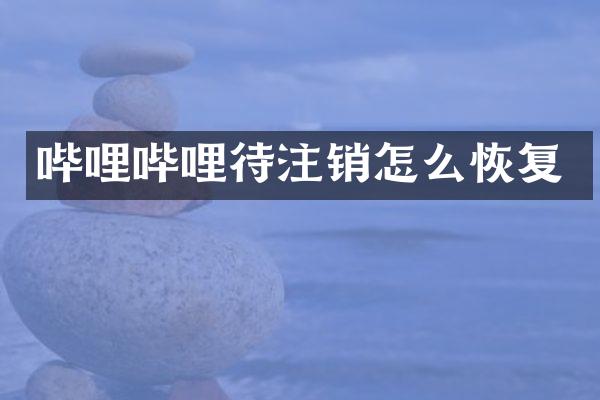 哔哩哔哩待注销怎么恢复