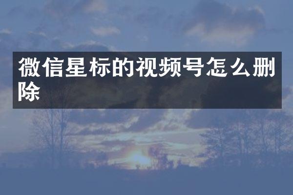 微信星标的视频号怎么删除