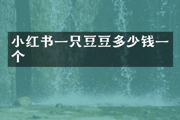 小红书一只豆豆多少钱一个