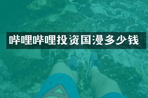 哔哩哔哩投资国漫多少钱