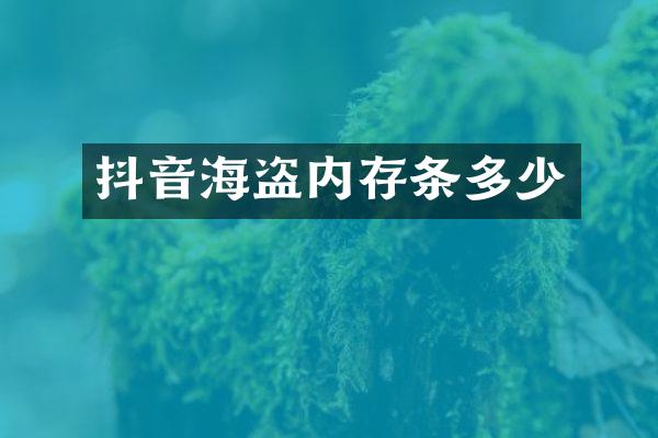 抖音海盗内存条多少