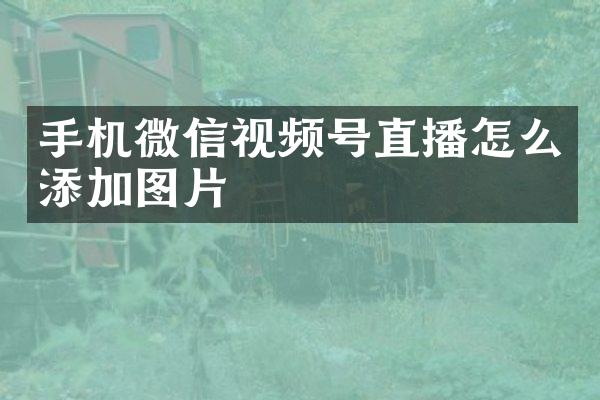 手机微信视频号直播怎么添加图片
