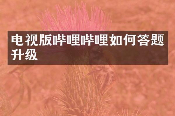 电视版哔哩哔哩如何答题升级