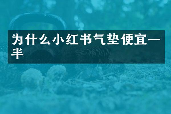 为什么小红书气垫便宜一半