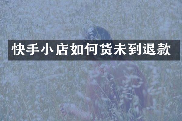 快手小店如何货未到退款