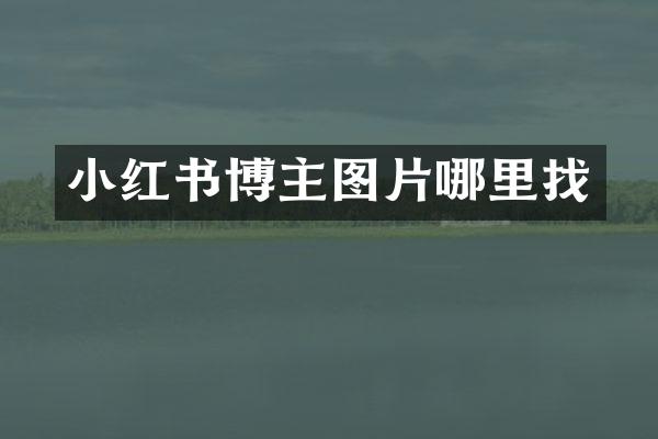 小红书博主图片哪里找