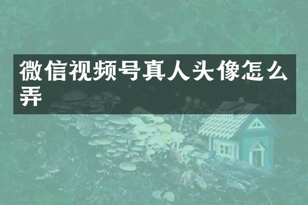 微信视频号真人头像怎么弄