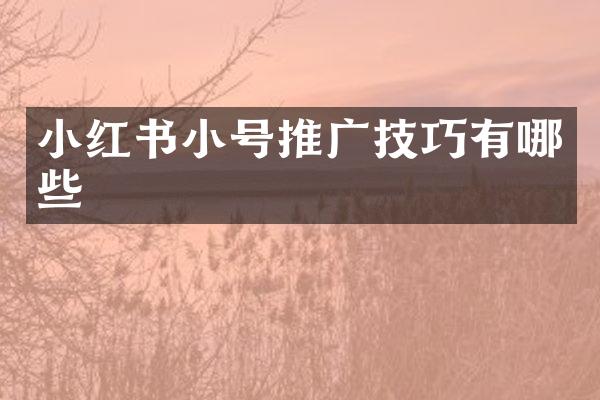 小红书小号推广技巧有哪些