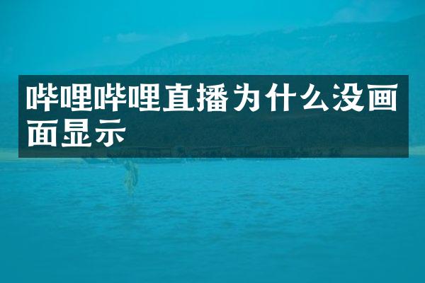 哔哩哔哩直播为什么没画面显示