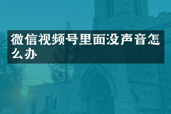 微信视频号里面没声音怎么办