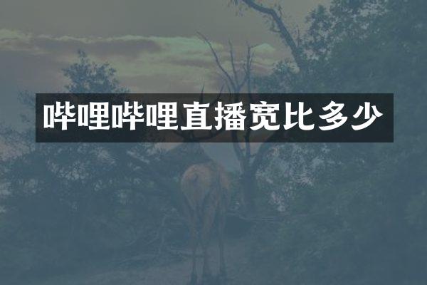 哔哩哔哩直播宽比多少