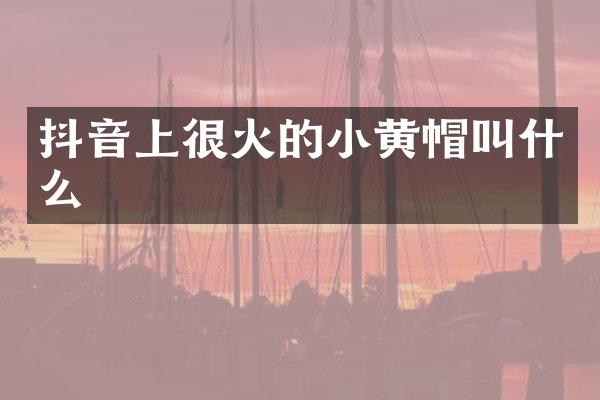 抖音上很火的小黄帽叫什么