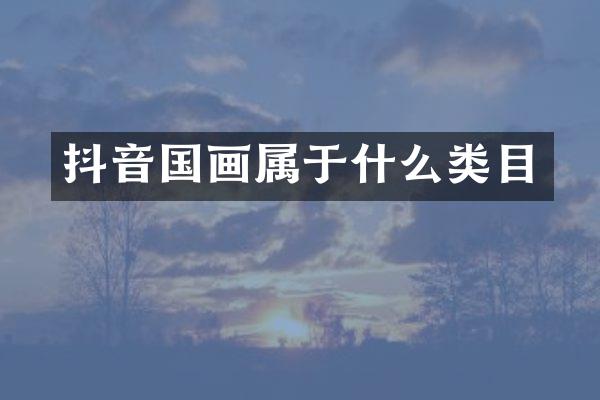 抖音国画属于什么类目