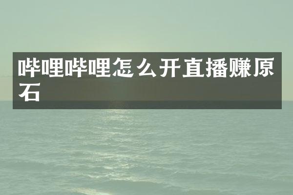 哔哩哔哩怎么开直播赚原石