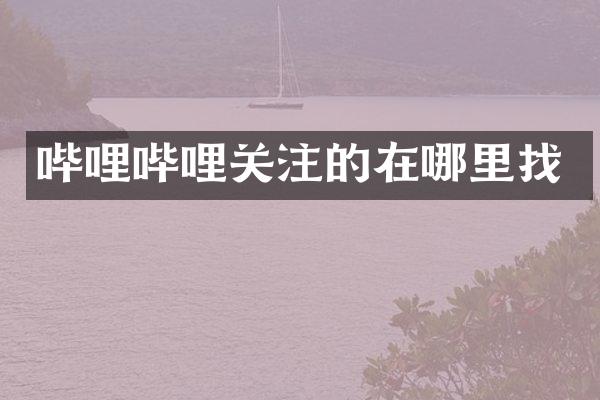 哔哩哔哩关注的在哪里找