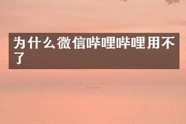 为什么微信哔哩哔哩用不了