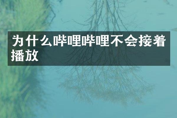 为什么哔哩哔哩不会接着播放
