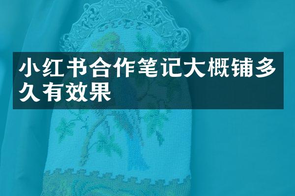 小红书合作笔记大概铺多久有效果