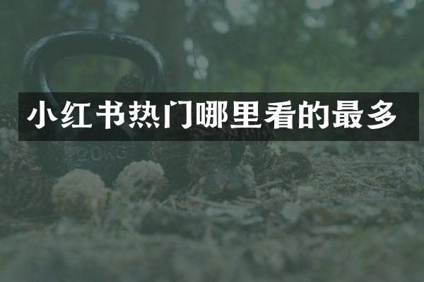 小红书热门哪里看的最多