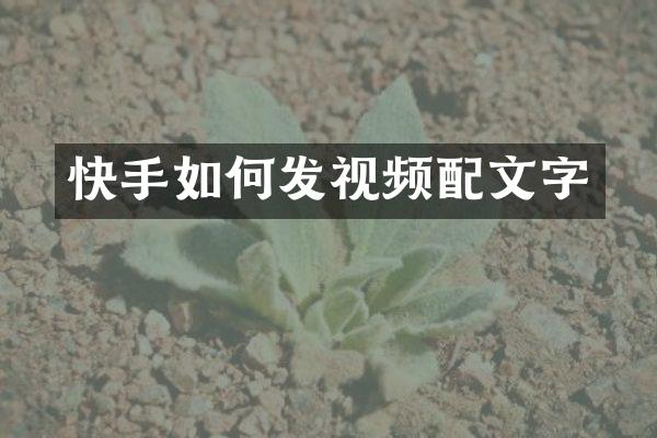 快手如何发视频配文字