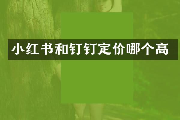 小红书和钉钉定价哪个高