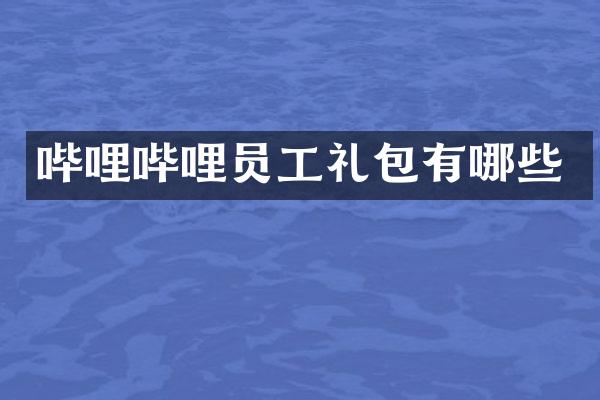 哔哩哔哩员工礼包有哪些