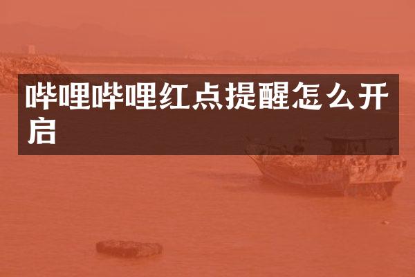 哔哩哔哩红点提醒怎么开启