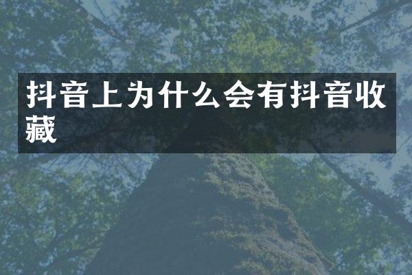 抖音上为什么会有抖音收藏