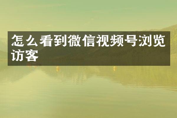 怎么看到微信视频号浏览访客