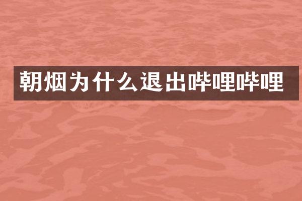 朝烟为什么退出哔哩哔哩