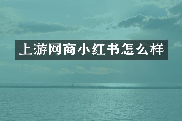 上游网商小红书怎么样