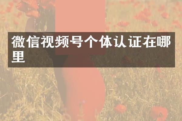 微信视频号个体认证在哪里