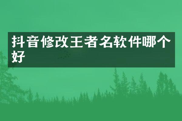 抖音修改王者名软件哪个好