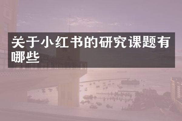 关于小红书的研究课题有哪些