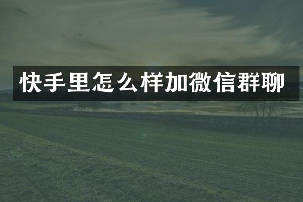 快手里怎么样加微信群聊