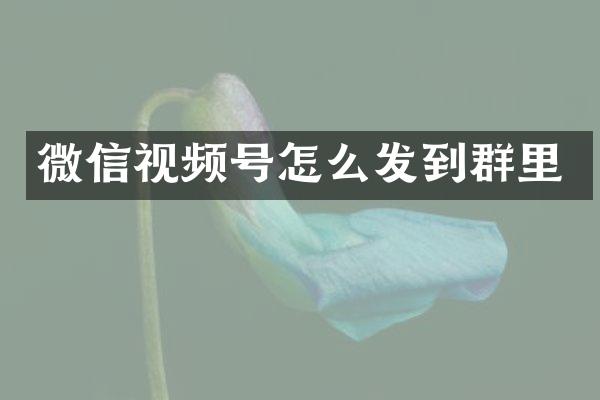 微信视频号怎么发到群里