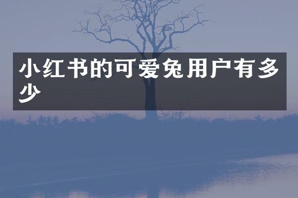 小红书的可爱兔用户有多少