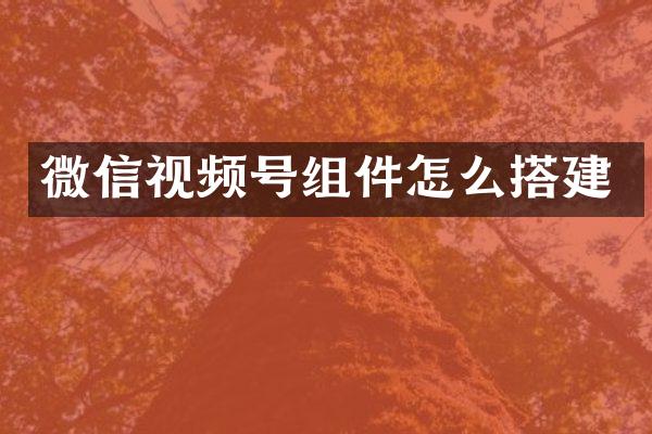 微信视频号组件怎么搭建