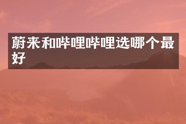 蔚来和哔哩哔哩选哪个最好