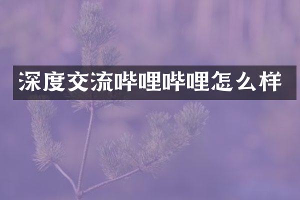 深度交流哔哩哔哩怎么样