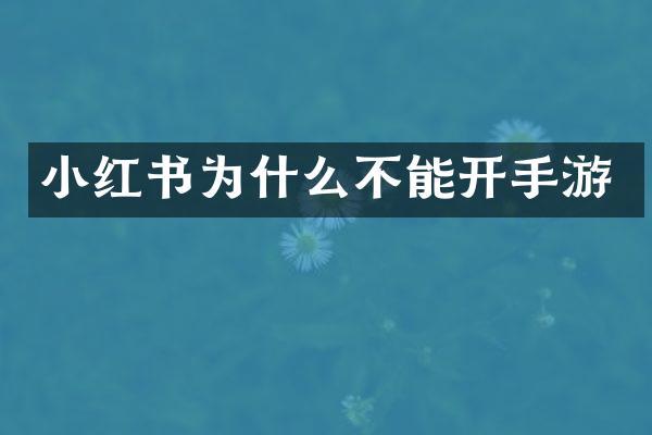 小红书为什么不能开手游