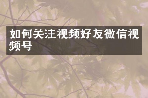 如何关注视频好友微信视频号