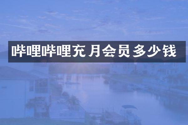 哔哩哔哩充月会员多少钱