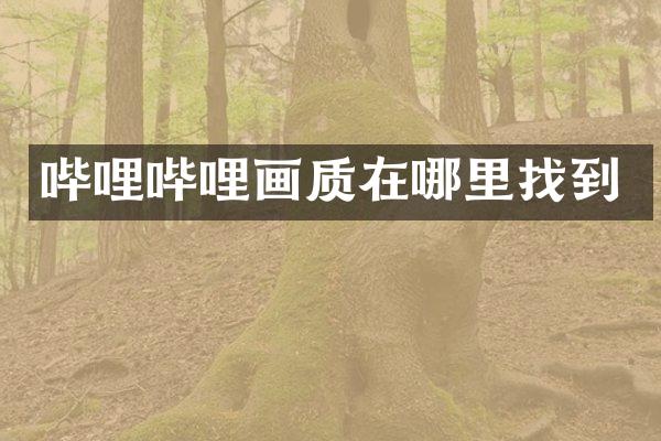 哔哩哔哩画质在哪里找到