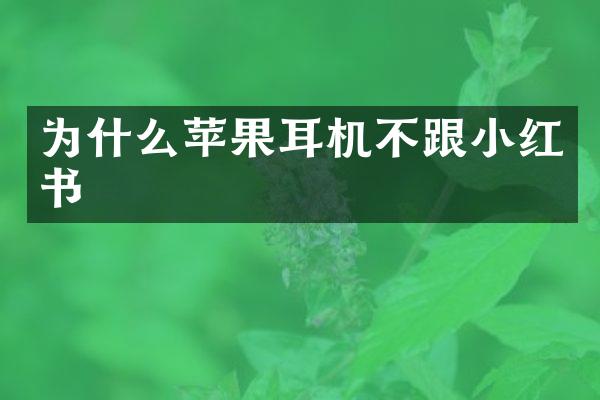 为什么苹果耳机不跟小红书